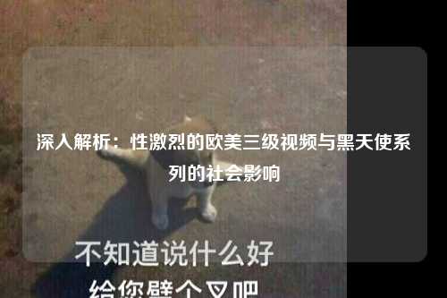 深入解析：性激烈的欧美三级视频与黑天使系列的社会影响