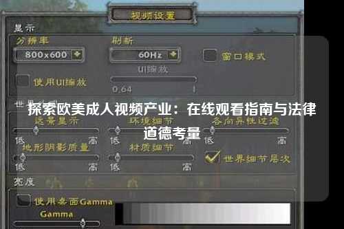 探索欧美成人视频产业：在线观看指南与法律道德考量