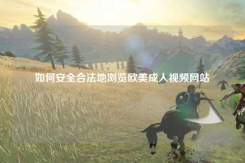 如何安全合法地浏览欧美成人视频网站